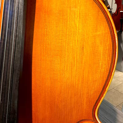 Student Cello: 1/2 Cello - Segue Concertino Plus 2016 - Oil varnish image 16