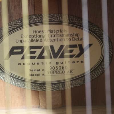 Peavey Tupelo AE Electric/Acoustic Guitar image 4
