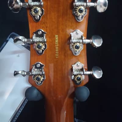 Guild Newark St. Collection Bluesbird - Iced Tea Burst image 3