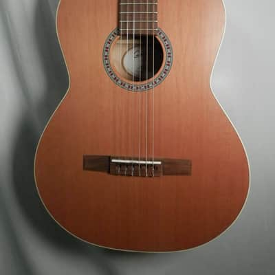 Godin Model # 049707 Etude Left Nylon Classical Acoustic Guitar Left-Handed Open Box / Demo image 3