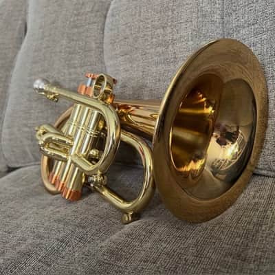 Carol Brass Phat Puppy 2023 image 4