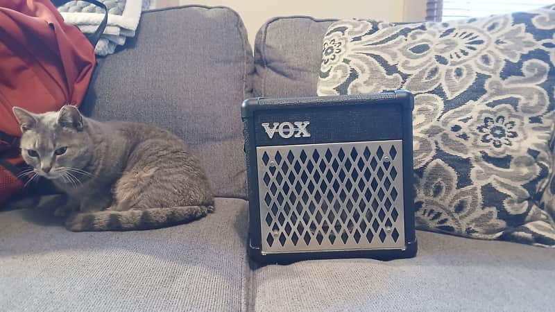 Vox DA5 5W 1x6.5 Guitar Combo 2010s w/ factory power supply/carrying strap image 1