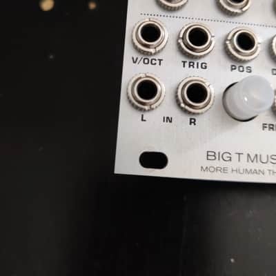 Big T Monsoon Mutable Instruments Clouds Clone Eurorack Module image 8