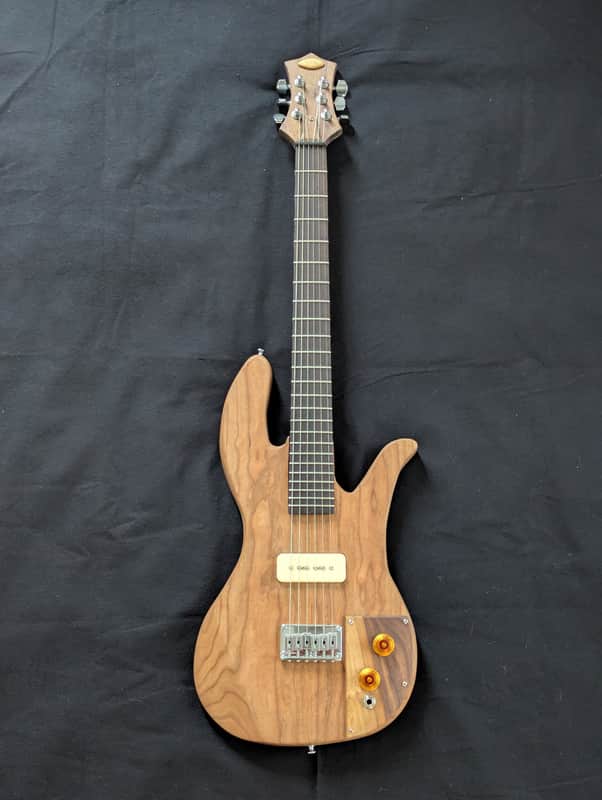 Ashby instruments guitar 2025 image 1