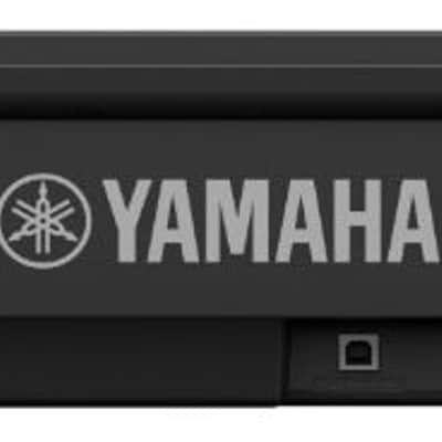 P225 88 Key Digital Piano- Black image 2