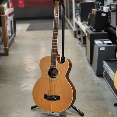 VANTAGE VB30CE アコースティックベース！美品！ケース付き！ Vantage