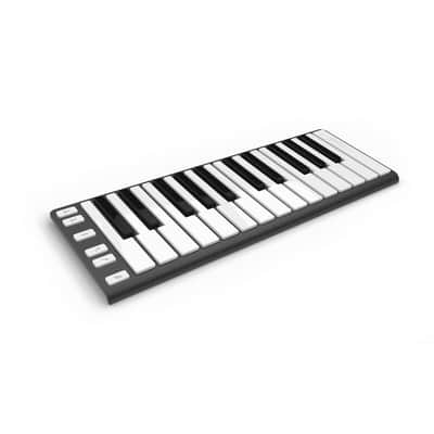 XKey 25-Key Mobile MIDI Keyboard Dark Gray image 2