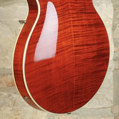 EASTMAN T484 CL - Classic image 8