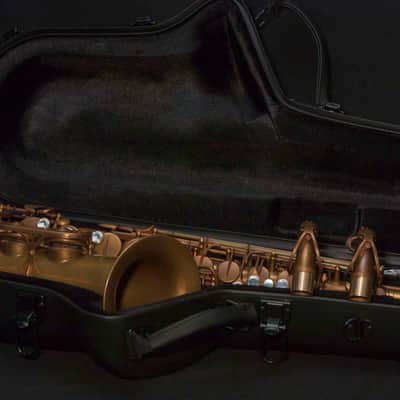NEW Eastman EAS852 52nd Street Professional Eb Alto Saxophone image 14