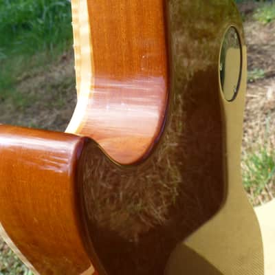 Vaschenko LP Type 2013 Vintage Amber image 25