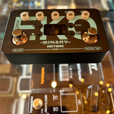 Hotone Binary Eko Delay 2022- Black/Blue image 2