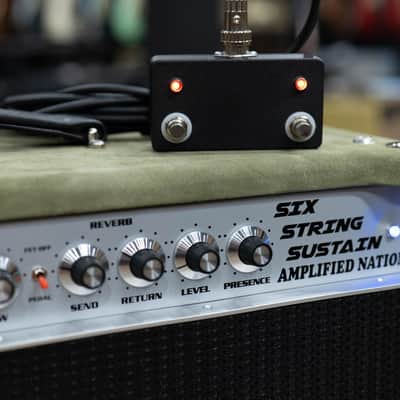 Amplified Nation Six String Sustain 50W 112 Combo – Moss Suede image 5