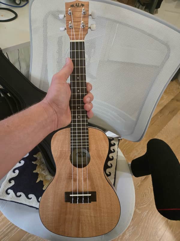 Kala KA-EMTU-C Travel Concert Ukulele with Gig Bag 2020 - Exotic Mahogany image 1