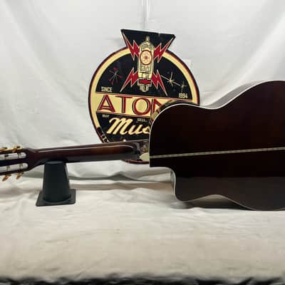 Esteban Granada Classical Acoustic Guitar and G10 Amplifier Like New image 4