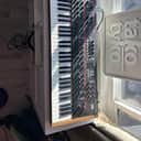 Dave Smith Instruments Prophet 12 61-Key 12-Voice Polyphonic Synthesizer 2013 - 2018 - Black with Wood Sides