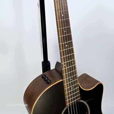 Taylor AD14ce-SB LTD 50th Anniversary Grand Auditorium w/AeroCase (Demo) image 6