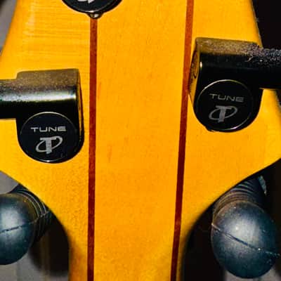Tune WB4-FM 2008 - 2010 Fretless image 7