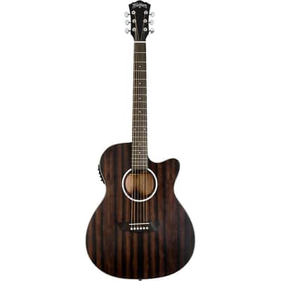 Washburn Deep Forest Ebony ACE Acoustic-Electric Guitar Natural Matte (B-Stock) image 3