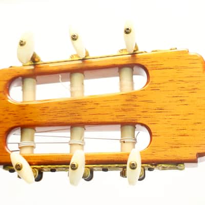 The Biggest Classical Guitar We've Ever Seen | Corujo's Gran Guitar by Raimundo & Aparicio - Check Video! image 8