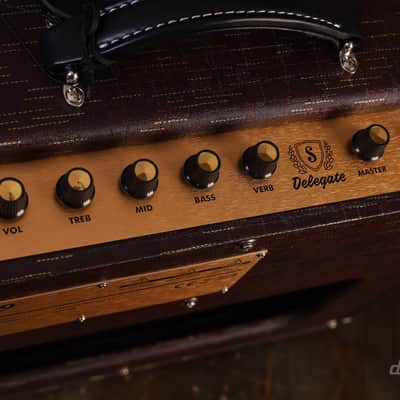 Supro Delegate Custom Combo Bild 9