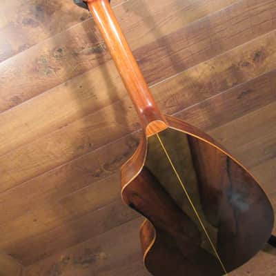 Giannini Craviola 6n Nylon Classical image 8