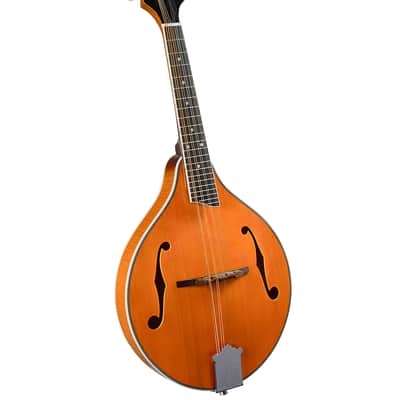 Rover RM-70S Deluxe A-Model Mandolin – Solid Top – Translucent Amber image 1