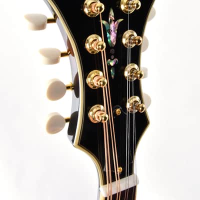 Sigma Guitars SMA-8E Mandoline Sunburst image 3
