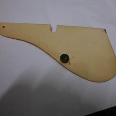 Kay Mandolin Pickguard 1950's image 2