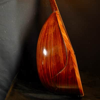 Vintage 1925 Prof. Raffaele Calaci Mandolin image 17