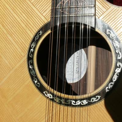 BLUEBERRY 12 String Cutaway   SATAN 2013 Natural image 2