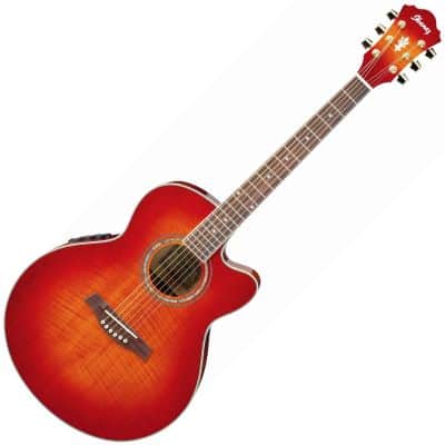 IBANEZ AEL20 acoustic guitars