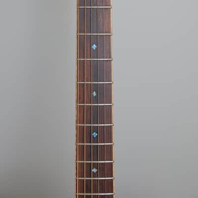 Zager ZAD900CE OM Style Acoustic Electric with Fishman Aura Pro Electronics + Case, Extra Strings & Strap image 6