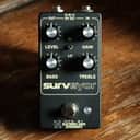 Electronic Audio Experiments Surveyor *Free Shipping in the US*