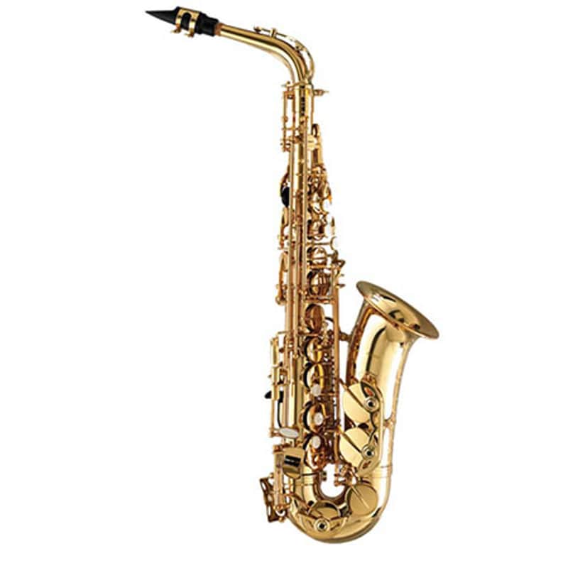 Zonda Alto Saxophone Outfit with Case ZAS201RA - Brass image 1