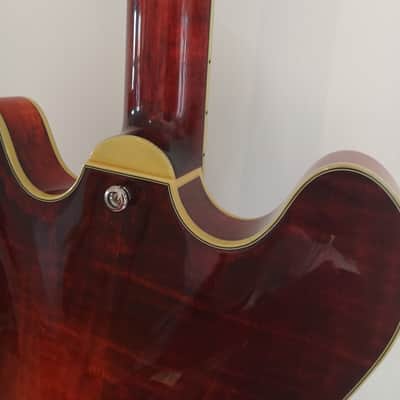Eastman T486 2016 - Netrocellulose image 7
