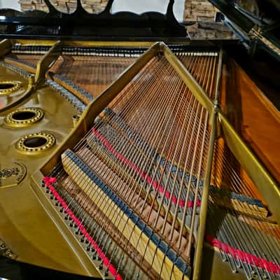 Steinway and Sons Model A 1914 image 4