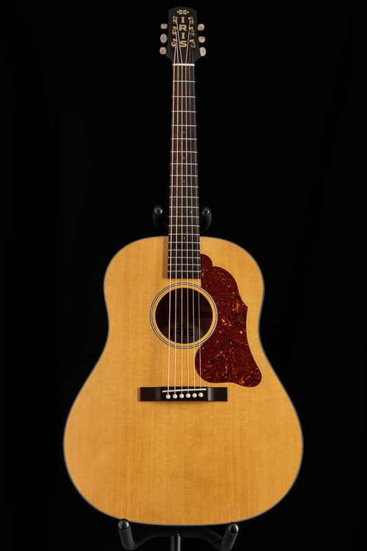Iris Guitar Company DF Natural image 1