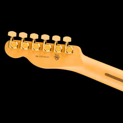 Fender 75th Anniversary American Professional Custom Telecaster 2-Color Sunburst with Case image 7