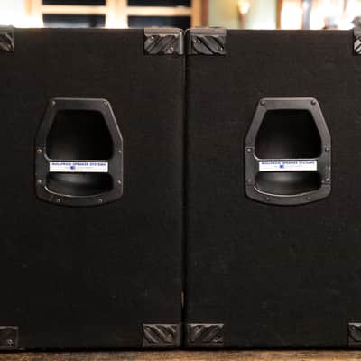 Bullfrog 1x12" PA Speaker with Tweeter (Pair) image 9