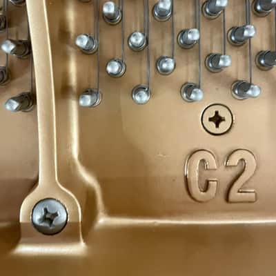 Yamaha DISKLAVIER MEZZA CODA NERO Bild 10