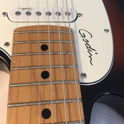 Godin Session (made in USA/Canada)  includes matching soft case image 8