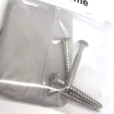 Brio Neck Plate, Neck Screws, Gasket and Wax Chrome image 3