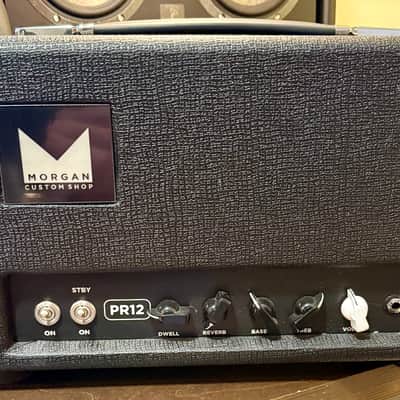 Morgan PR 12 Custom Shop for LA Vintage Gear 2023 - Black Tolex image 1