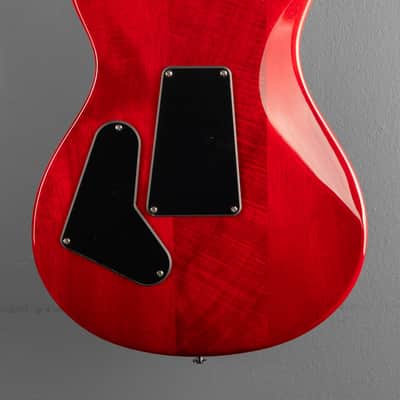 Paul Reed Smith SE Custom 24 "Floyd" '25 image 5