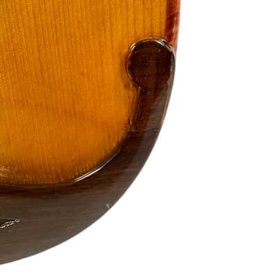 Concert Mandolin E. De Cristofaro 1930's image 7