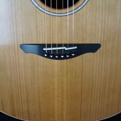 Brand New Avalon A1-Oak Cara Series with Cedar / Ancient Bog Oak image 4