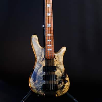 Spector (USA) NS-5 Neck-Thru 2024 - Buckeye Burl image 2