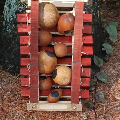 balafon/bala/balan/balani (West African-style gourd resonated xylophone) image 4