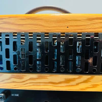 Carrion Slave Amplifier 120 image 4