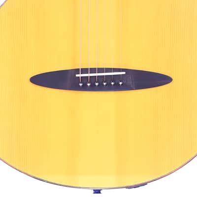 Schertler SM Acoustic Guitar – A Rare Gem in Electro-Acoustic Innovation - check video! image 4